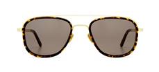 VIU_TITAN_THE_EXPLORER_TB_ACE_GOLD-DUNKLES-HAVANNA_EUR 245.jpg