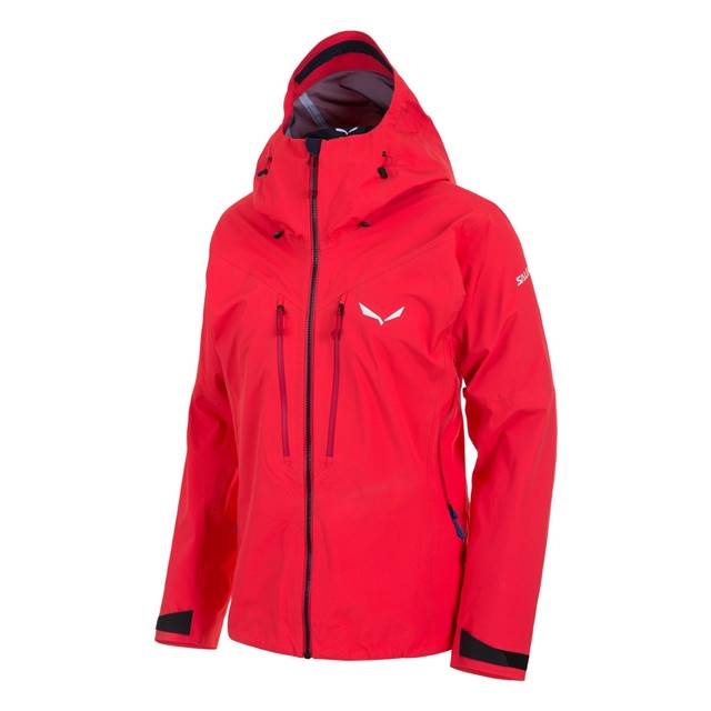 SALEWA_HW1718_ORTLES 2 GTX PRO W JKT_25370_EUR 550.jpg