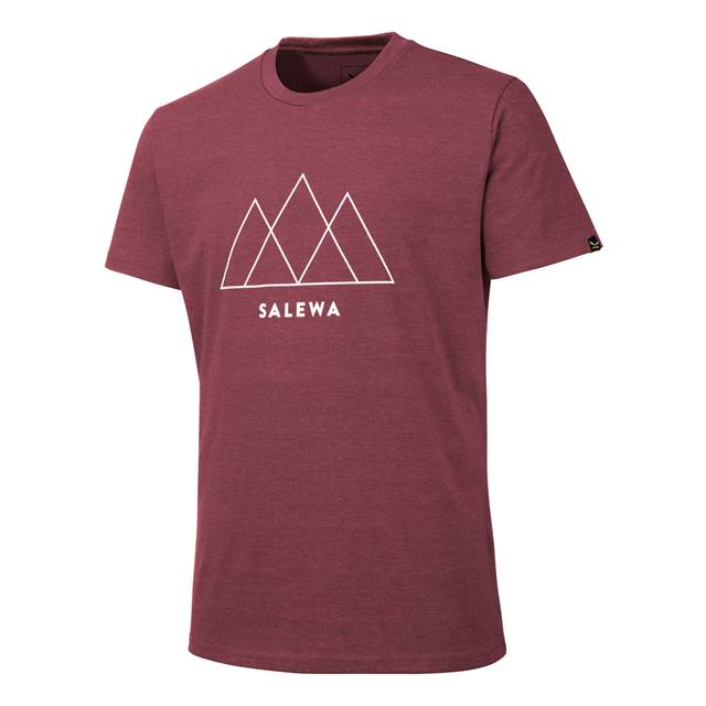 SALEWA_HW1718_OVERLAY DRY M S S TEE_rot_26413_EUR 30.jpg