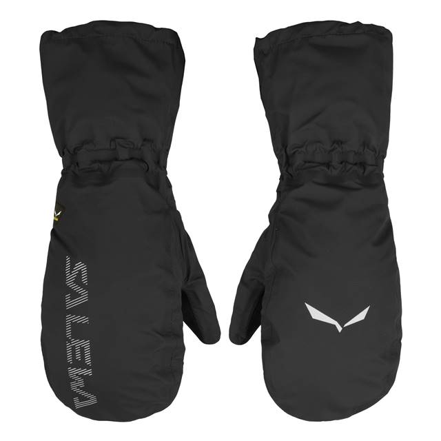 SALEWA_HW1718_ORTLES PTX 3L OVERMITTEN_26434_EUR 90.jpg