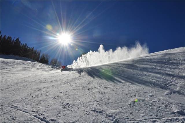 Pure Boarding_Imagebilder HW 2017 (20).JPG