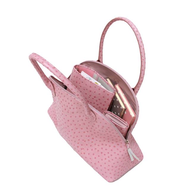 elfenklang_Tasche _Rosa Strauss.jpg